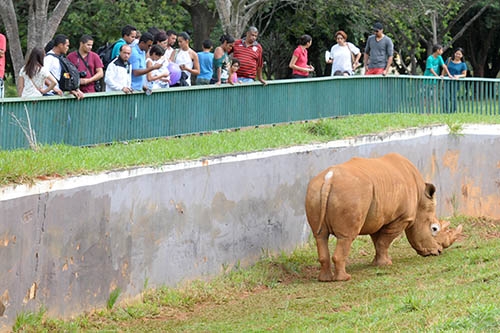 Jardim Zoológico de Brasília