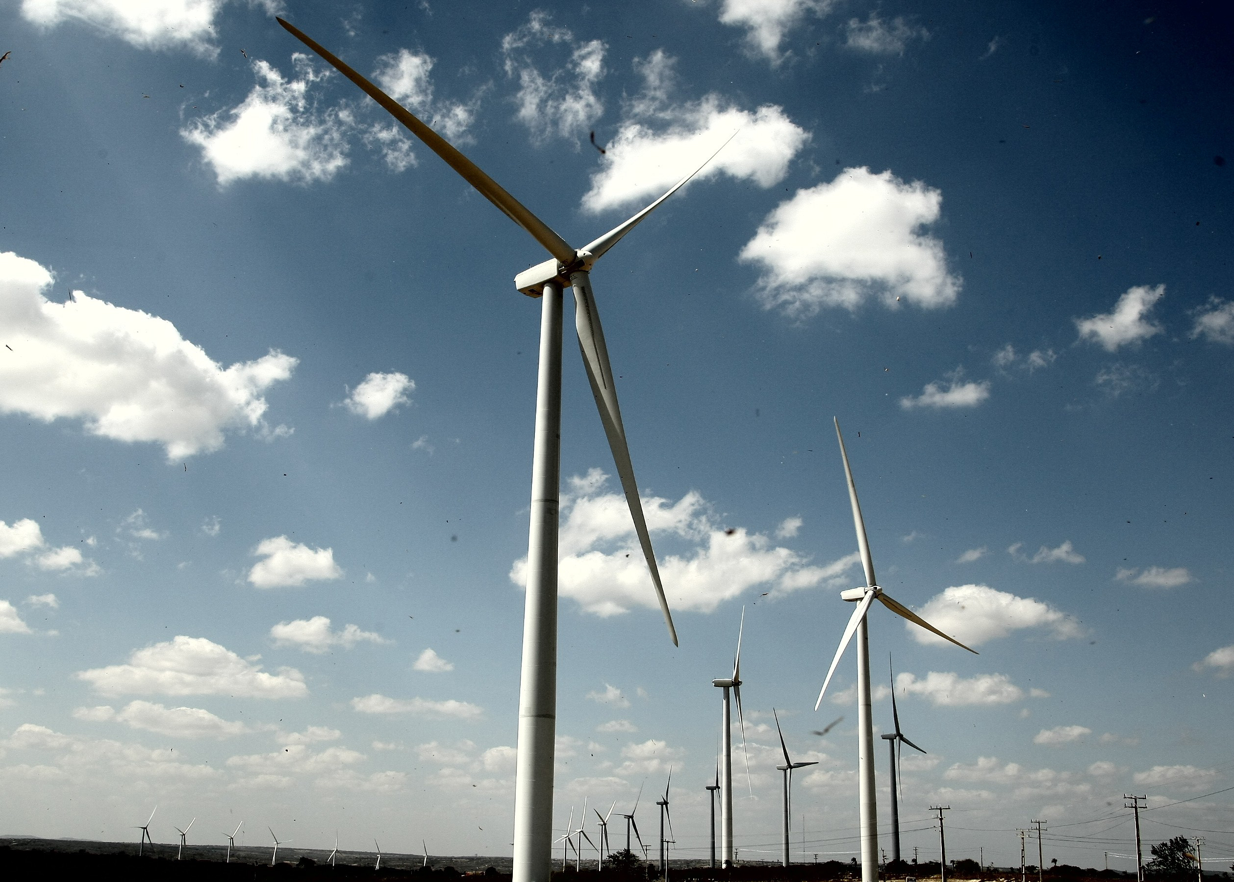 Imagem de geradores de energia eólica - Metrópoles