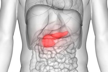 Ilustração mostra posição do pâncreas no corpo. O órgão é responsável por produzir hormônios e enzimas para o corpo