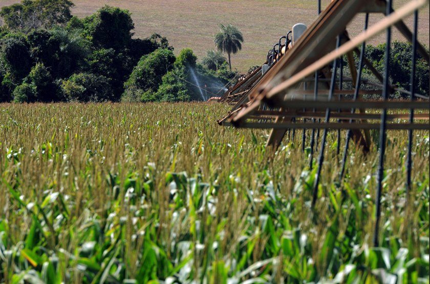 Imagem colorida mostra área de agricultura - Metrópoles