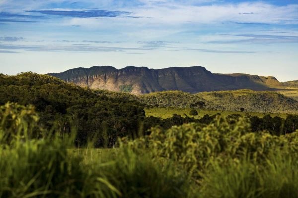 Na foto, a chapada dos Veadeiros (GO) - Metrópoles