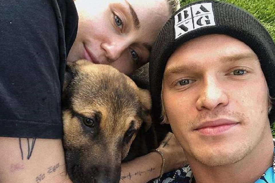 Miley Cyrus adota cãozinho