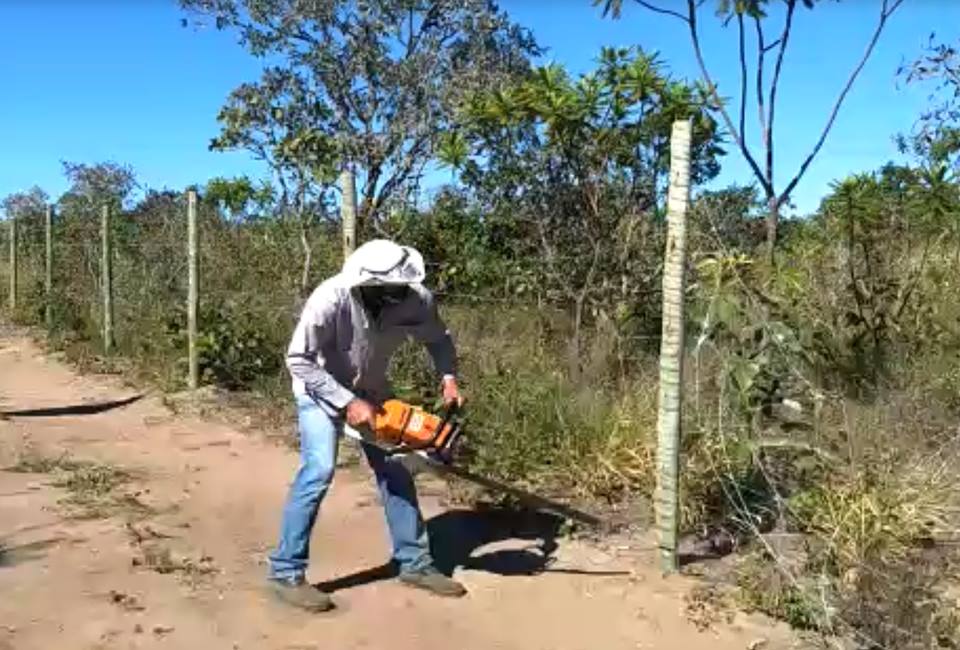 Ao lado do Fórum de Alto Paraíso, área de preservação é alvo de grilagem