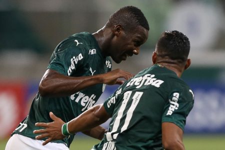 Patrick de Paula Palmeiras