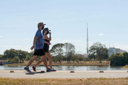 Casal caminha no parque