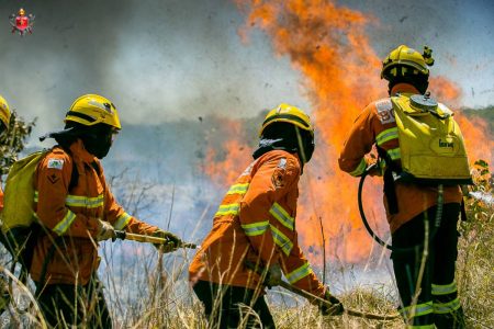 bombeiros apagando fogo