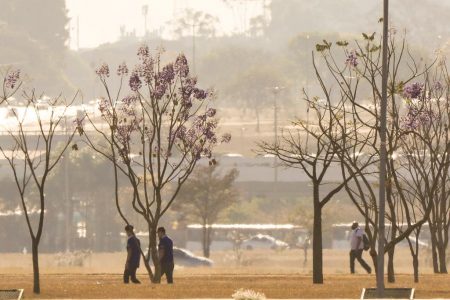 DF tem dia mais seco e quente do ano. Defesa Civil e Inmet emitem alerta à população calor seca