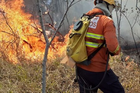 Bombeiro combatendo incêndio florestal