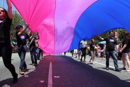 bandeira bissexual