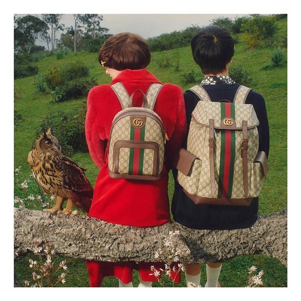 Campanha da Gucci