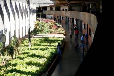 Jardim na UnB
