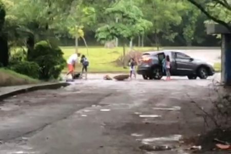 Vídeo mostra filhas gritando para pai não matar juíza: "Por favor, para!"