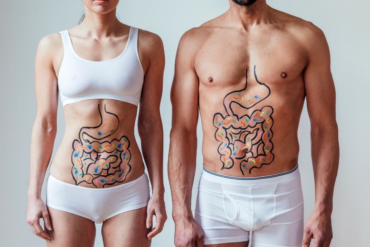 Intestino