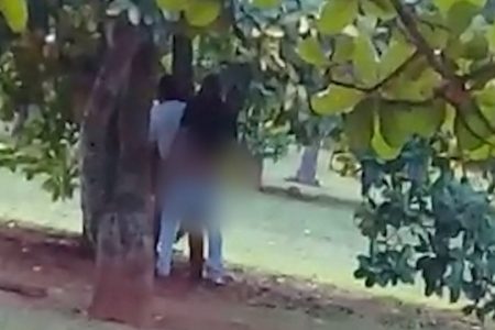 sexo entre homens no Parque da Cidade