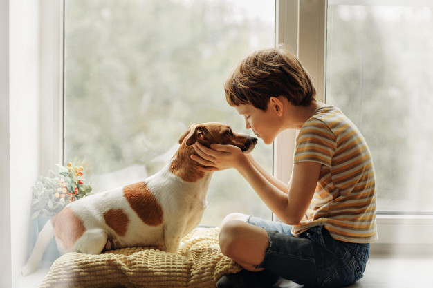 Cachorro e criança