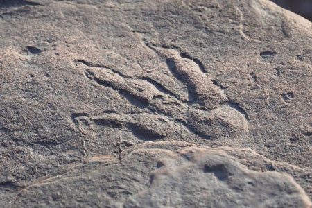 Pegada do dinossauro encontrada pela menina