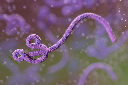 ilustração do vírus Ebola