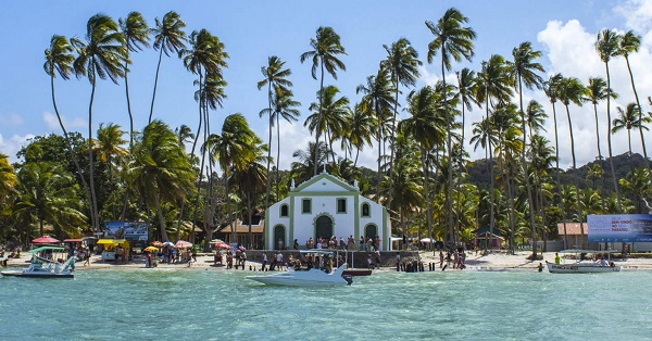 praia com coqueiros em pernambuco