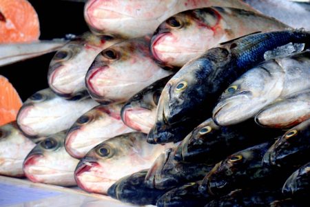 peixes em peixaria