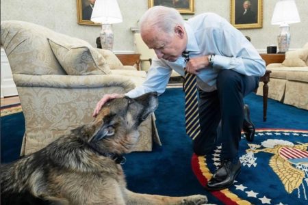 Joe Biden e seu cachorro