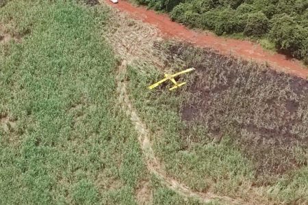 Avião cai em canavial em Minas Gerais