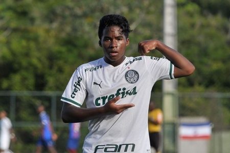 Endrick Palmeiras