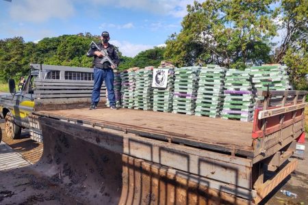 carga de supermaconha e haxixe apreendida em goiás. droga era levada embaixo do assoalho do caminhão