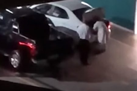 Vacinação garagem