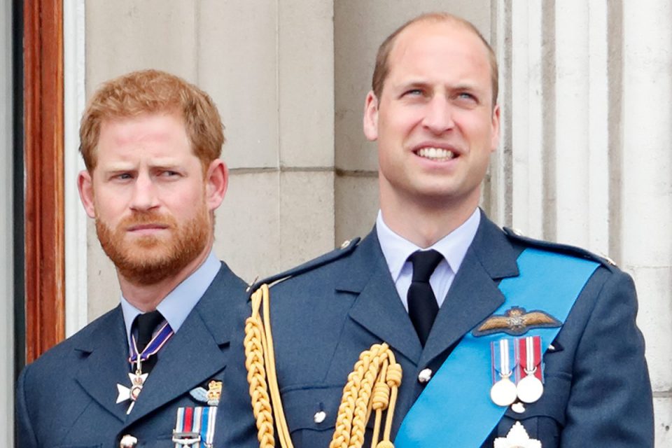 Príncipes Harry e William