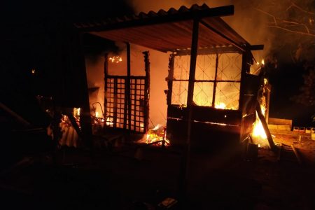Bombeiros salvam dois cachorros
