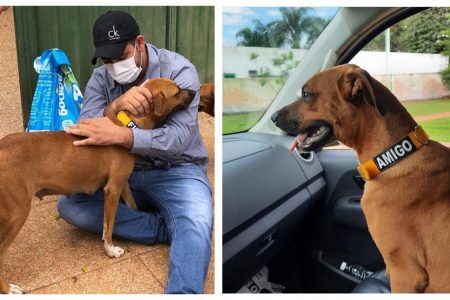 Cadela Menininha é adotada após dono morrer por Covid em Goiás