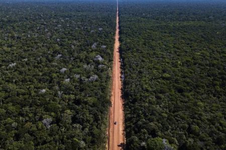 Amazônia