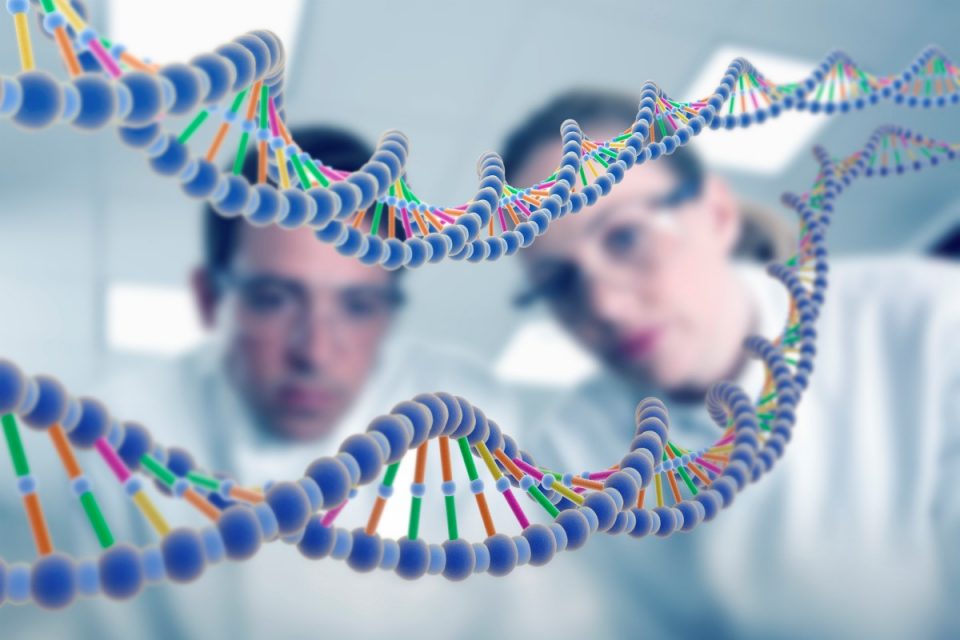 foto colorida,RNA. Um homem e uma mulher vestidos de branco aparecem ao fundo da imagem