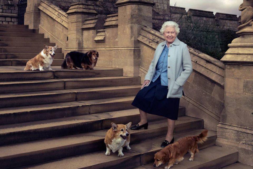 Rainha Elizabeth II e cachorros