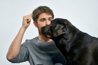 Homem adestrando cachorro