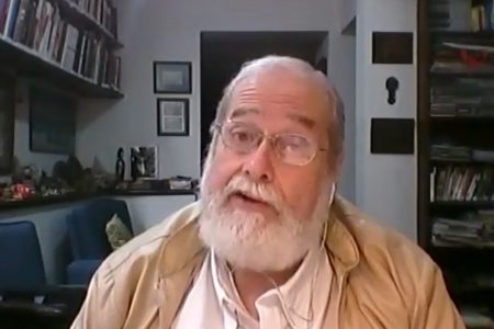 Gonzalo Vecina Neto