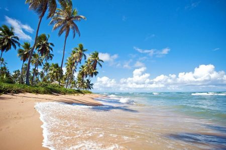 Praia do nordeste