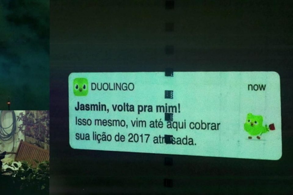 campanha duolingo