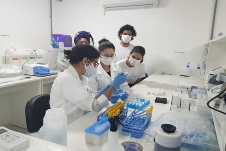 pesquisadoras