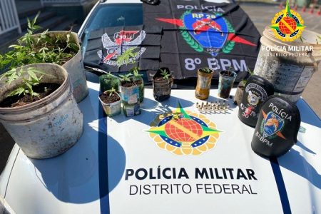 PMDF encontra 25 pés de maconha em Ceilândia