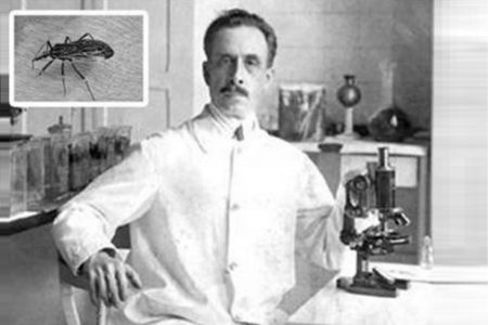 Oswaldo Cruz