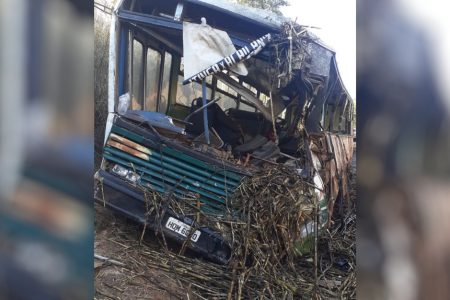 goias acidente onibus e caminhão