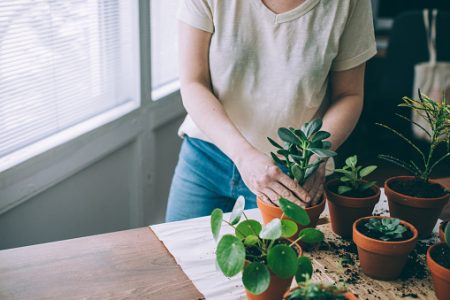 Mulher cuidando das plantas