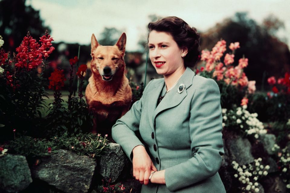 Rainha Elizabeth