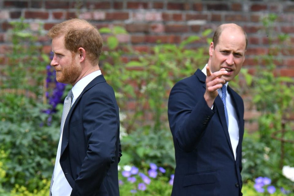 Príncipe Harry e William