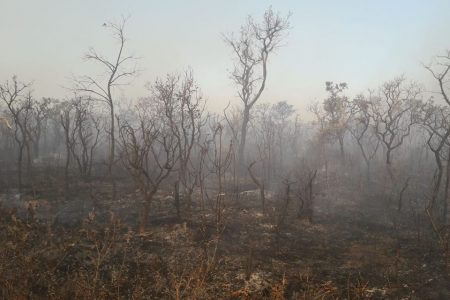 Incêndio Parque Nacional
