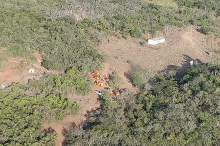 Ataque abelhas hidrolandia goias