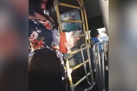 Mulher soco motorista onibus goias