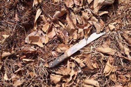 facão utilizado por homem que invadiu convento em goiás