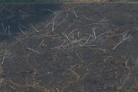 sistema de combate de focos de incêndios na amazonia bombeiros sobrevoam áreas de queimadas próximo a Porto Velho em Rondonia